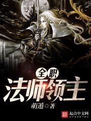 全职法师 领域