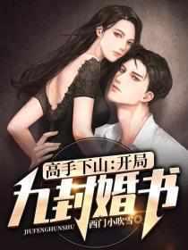 韩风九个未婚妻免费阅读