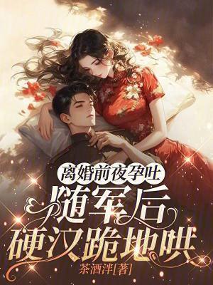 离婚前他怀孕了by
