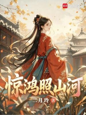 惊鸿山河歌词