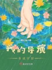 我的导演漫画