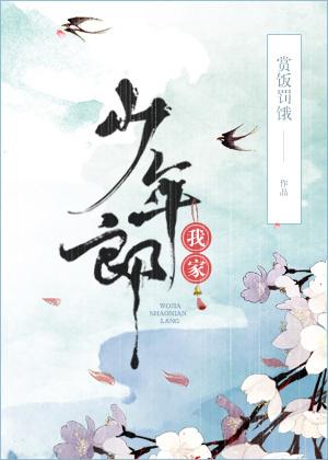 我家少年郎无防盗章全文