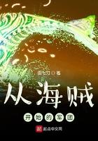 从海贼开始的军团txt