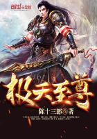 极天至尊免费阅读