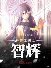 神奇宝贝之智辉 在线阅读