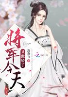 将军今天又翻墙