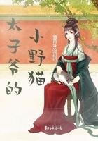 太子的小野妃全文免费阅读