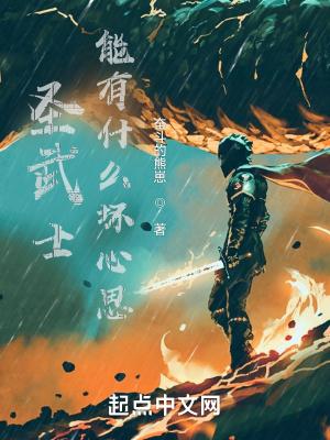 圣武士兼职术士