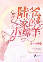 陆爷家的小可爱免费阅读