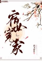 宿世冤家详情