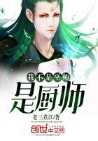 我又不是厨师