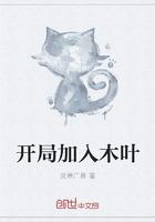 开局木叶路人甲33