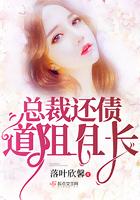 还债嫁给总裁的