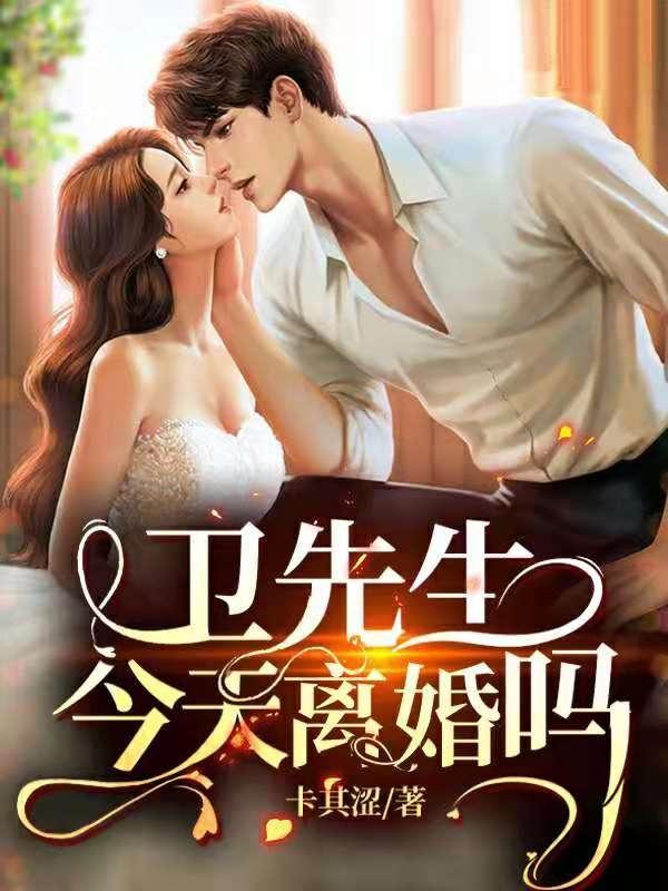 今天离婚吗(沈嫚