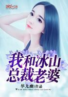 我和冰山总裁老婆离婚后带娃摆摊