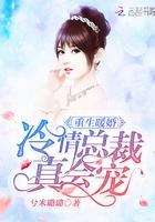 重生暖婚总裁轻轻宠