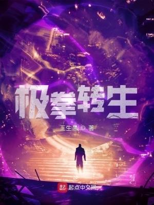 极拳转生无错