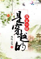 我家小姐是继承者