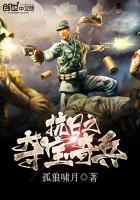 抗战之夺宝奇兵阅读
