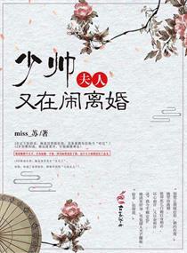 少帅 夫人又跑了