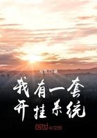 我有一个辅助系统