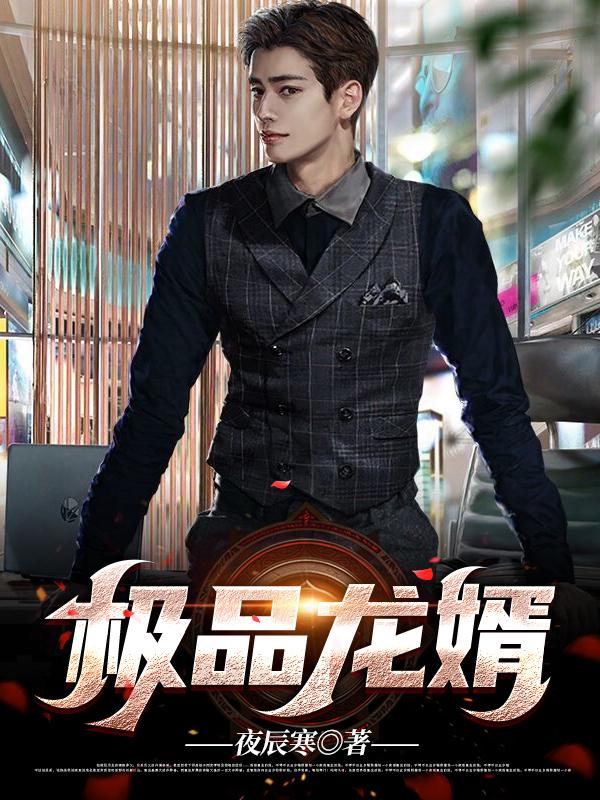 极品龙婿夜辰寒
