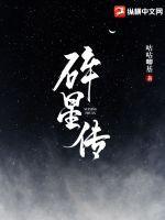 碎星传奇最强三个职业
