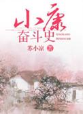 小康过程