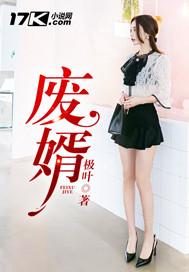 废婿叶辰全文免费阅读