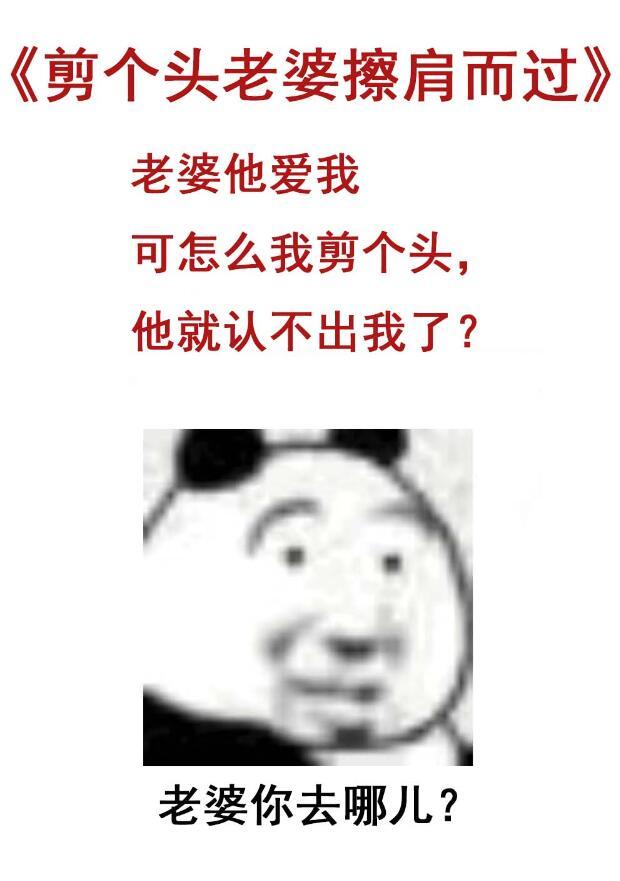 剪个头老婆擦肩而过txt