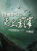 斗破苍穹之无上颠峰