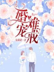 婚宠难戒子夜轻语免费阅读