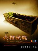 金棺噬魂听书七十在线