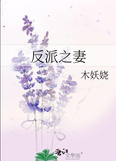 反派妻