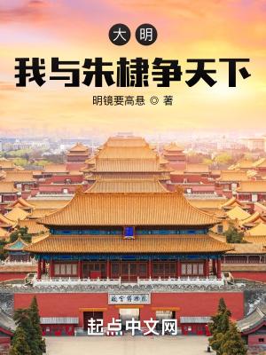 大明我与朱棣争天下笔趣阁