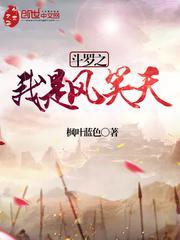 斗罗大陆 之我是风笑天