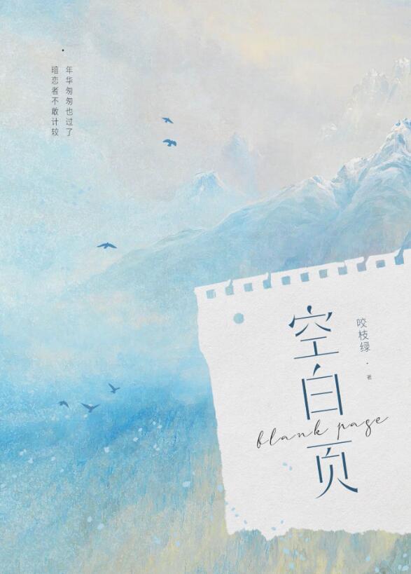 像教案本那样