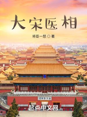 大宋医相全文免费阅读