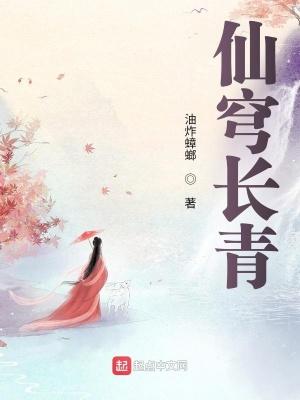 穹苍长青16章