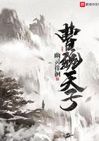 曹魏世子之争