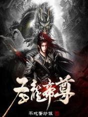 圣龙帝尊在都市