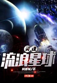 灵魂流浪者英文