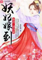 妖妃嫁到暴君请自重作者