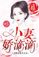 天价小娇妻好看吗