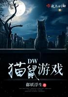 猫鼠游戏讲解