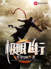 极限飞行着陆