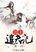 公主追夫记