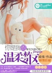 你是我的温柔禁区免费
