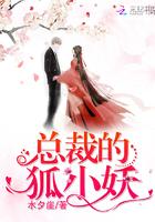 总裁的小狐狸