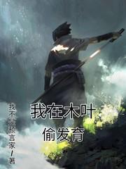 我在木叶卖点心全文免费阅读